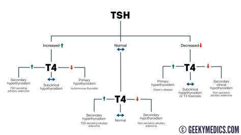 tft blood test patient education